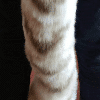 Custom Painted Tail - Image 2