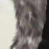 Custom Painted Tail - Image 3